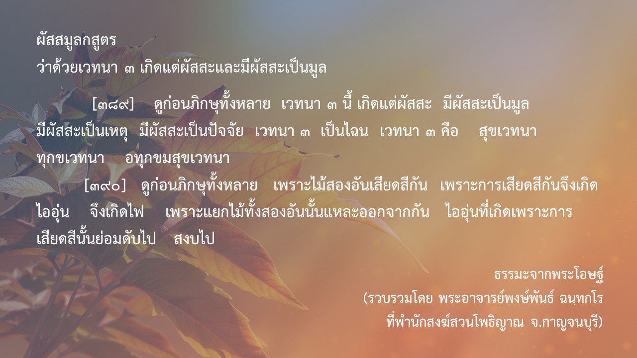 08-Aug22-64-BDS-30